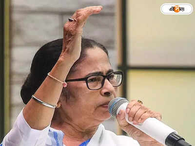 Mamata Banerjee Book: কারও পয়সায় খাই না, বই থেকে যা রয়্যালটি পাই…: মমতা