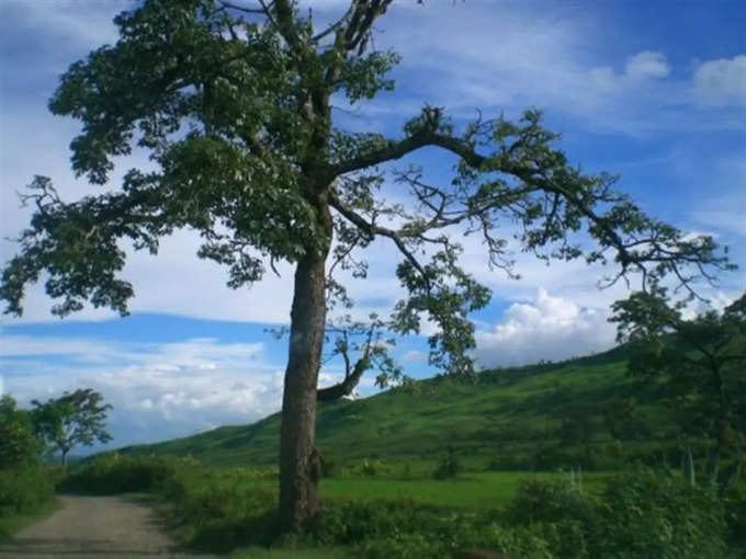 ಸುತ್ತಮುತ್ತ ಇದೆ ಪ್ರೇಕ್ಷಣೀಯ ಸ್ಥಳ