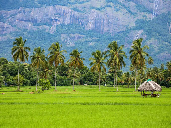 ​প্রশান্তিদায়ক কেরালা