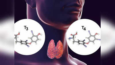 Hypothyroidism Treatment: ওষুধের প্রয়োজন হবে না, আয়ুর্বেদে এই ৪ প্রতিকারই থাইরয়েড নিয়ন্ত্রণে রাখতে যথেষ্ট!