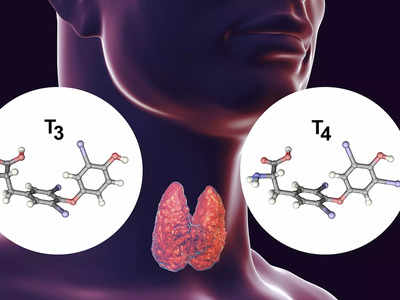 Hypothyroidism Treatment: ওষুধের প্রয়োজন হবে না, আয়ুর্বেদে এই ৪ প্রতিকারই থাইরয়েড নিয়ন্ত্রণে রাখতে যথেষ্ট!