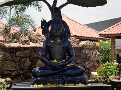 Vastu Tips : सावन में घर में लगाएं भगवान शिव की ऐसी तस्वीरें, धन समृद्धि की होगी वर्षा