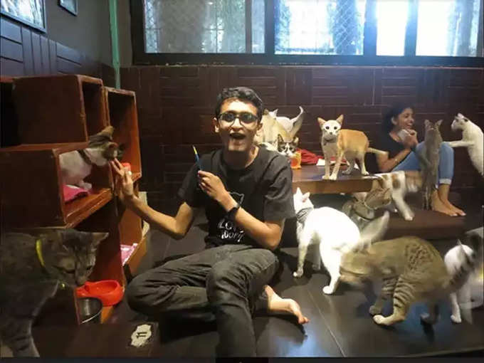 कैट स्टूडियो कैफे, मुंबई - Cat Studio Cafe, Mumbai