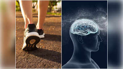 Reverse Walking Benefits: মাত্র ২০ মিনিট পিছনে হেঁটেই মস্তিষ্কের কার্যকারিতা কয়েকগুণ বাড়ান! জানুন আরও উপকার