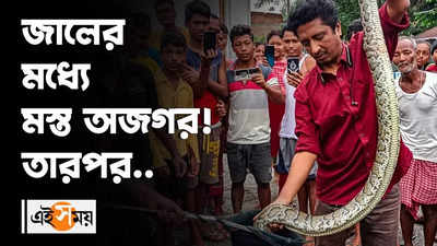 জালের মধ্যে মস্ত অজগর! তারপর