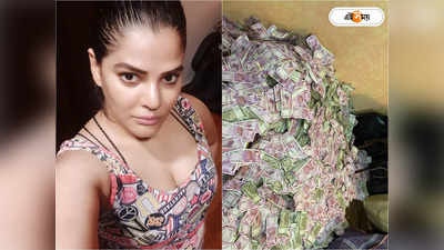 Arpita Mukherjee News: অর্পিতার ফ্ল্যাট নাকি ‘মিনি ব্যাঙ্ক’! টাকা গুণতে ভোর, ভরে গেল ২০ ট্রাঙ্ক