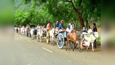 ஆடி அமாவாசை: மாட்டுவண்டிகளில் குவிந்த விவசாயிகள்; திருமூர்த்தி அமணலிங்கேசுவரர் ஆலயத்தில் கோலாகலம்!