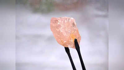 Pink Diamond: अंगोला में खोजा गया 170 कैरेट का दुर्लभ गुलाबी हीरा, 300 साल में मिला अब तक का सबसे बड़ा डायमंड