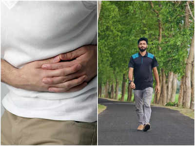 Improve Digestion: হজমের সমস্যা হবে চুটকিতে দূর! পেট ভালো রাখতে এই টিপস মেনে চলুন