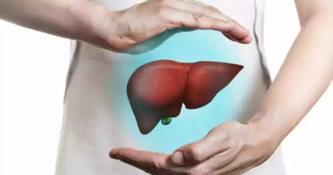 liver