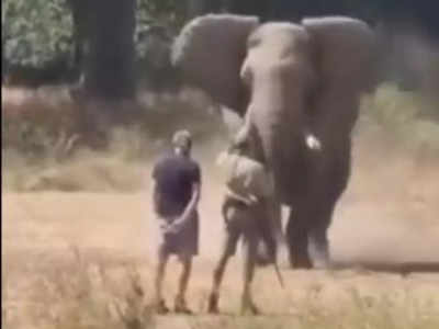 Elephant viral video : దాడి చేయాలని వచ్చిన ఏనుగు .. చిన్న టెక్నిక్‌తో వెనక్కి పరార్