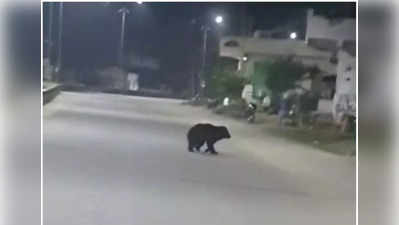 Bear tension: జనగామ జిల్లాలో ఎలుగుబంటి హల్‌చల్‌.. భయం గుప్పిట్లో ప్రజలు