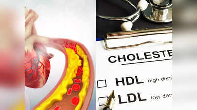 How To Raise Good Cholesterol: এই ৫ অভ্যাসই খারাপ কোলেস্টেরল বাড়তে দেয় না, রক্তের প্রবাহ ভালো রাখে!