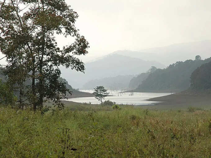 പെരിയാര്‍ കടുവ സംരക്ഷണ കേന്ദ്രം