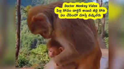 Doctor Monkey Video : పిల్ల కోసం డాక్టర్ అయిన తల్లి కోతి .. ఏం చేసిందో చూస్తే నమ్మలేరు