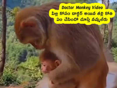 Doctor Monkey Video : పిల్ల కోసం డాక్టర్ అయిన తల్లి కోతి .. ఏం చేసిందో చూస్తే నమ్మలేరు