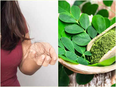 Moringa Hair Benefits: প্রতিদিন মুঠো মুঠো চুল উঠে যাচ্ছে? মাত্র ২ সপ্তাহেই ঘন কালো চুল ফিরিয়ে দেবে আপনার পরিচিত এই পাতা