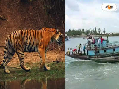 Tiger Day 2022: ব্যাঘ্র দিবস উদযাপনে মাতল সুন্দরবন, বিশেষ অনুষ্ঠান ম্যানগ্রোভের জঙ্গলে