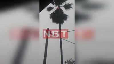 Patna Thunderstorm: पटना में पेड़ पर गिरी बिजली और लग गई आग, देखिए वीडियो