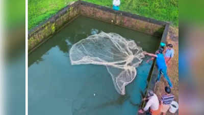 വായന തുടങ്ങാം, ഒപ്പം പെടക്കണ  മീനും വാങ്ങാം; ഇത് ചെറുപഴശ്ശിയുടെ മാത്രം പ്രത്യേകത