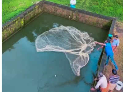 വായന തുടങ്ങാം, ഒപ്പം പെടക്കണ  മീനും വാങ്ങാം; ഇത് ചെറുപഴശ്ശിയുടെ മാത്രം പ്രത്യേകത