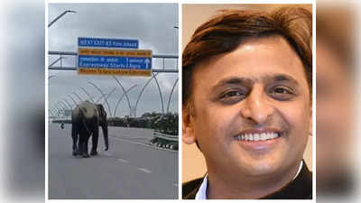 Agra Lucknow Expressway: आगरा-लखनऊ एक्सप्रेसवे पर टहलता दिखा हाथी तो अखिलेश बोले- गनीमत रही...