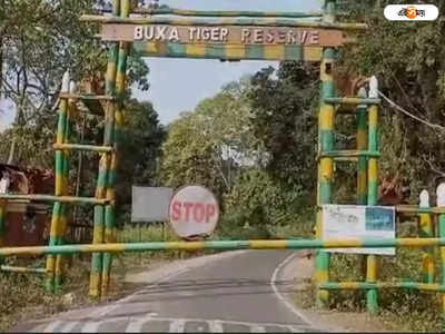 Buxa Tiger Reserve: বক্সা ব্যাঘ্র প্রকল্পে অন্তত ১০০টি হোম স্টে বন্ধ করার নোটিশ, চিন্তায় ব্যবসায়ীরা