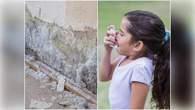 Health Risks of Damp: ঘরের দেওয়ালে Damp থাকলে অ্যাজমা, ব্রঙ্কাইটিস, নিউমোনিয়ার ঝুঁকি! সতর্ক থাকার নিদান দিলেন চিকিৎসক