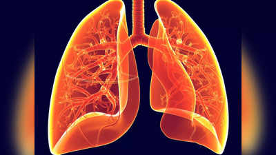 lungs cleansing: ఊపిరితిత్తులు ఇలా శుభ్రం చేస్తే.. ఏ సమస్యలు రావు..!