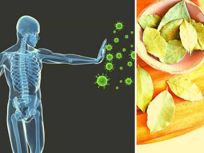 Diet Tips: ये 5 चीजें कोविड-मंकीपॉक्स समेत इन 4 जानलेवा वायरस को रखती है दूर, तुरंत शुरू कर दें सेवन