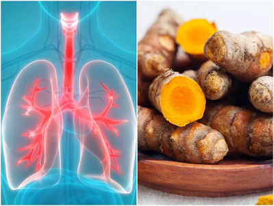 Detox Lungs: ফুসফুসের সব বিষ হয়ে যাবে পরিষ্কার! শ্বাসে প্রাণ ফেরাতে আয়ুর্বেদ চিকিৎসকের পরামর্শ মানুন