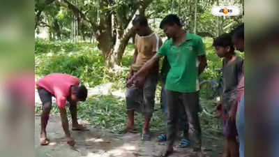 North 24 Parganas News: কদম্বগাছির আমবাগানে মহিলার দেহ উদ্ধার, চাঞ্চল্য