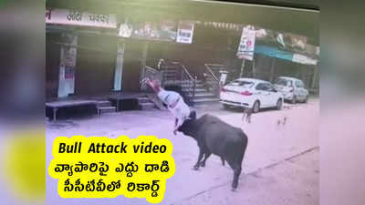 Bull Attack video : వ్యాపారిపై ఎద్దు దాడి .. సీసీటీవీలో రికార్డ్