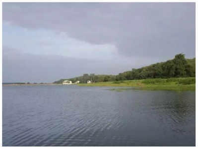 Shivpuri : शिवपुरी की सांख्य सागर झील रामसर साइट में शामिल, शोध केंद्र के रूप में विकसित होगा उद्यान