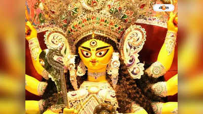 Delhi Durga Puja: বেড়াল থেকে বাঘ, দিল্লির পুজো উদ্যোক্তাদের মাথায় বজ্রাঘাত