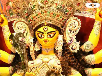 Delhi Durga Puja: বেড়াল থেকে বাঘ, দিল্লির পুজো উদ্যোক্তাদের মাথায় বজ্রাঘাত