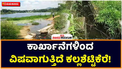 Tumkur: ತುಮಕೂರಿನ ಕಲ್ಲಶೆಟ್ಟಿಕೆರೆಗೆ ಕಾರ್ಖಾನೆಗಳಿಂದ ಮಲಿನ ನೀರು: ವಿಷವಾಗುತ್ತಿದೆ ಜೀವ ಜಲ