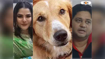 Arpita Mukherjee Dogs: অর্পিতার ফ্ল্যাটে বন্দি কুকুরদের উদ্ধার করুন, ED-কে চিঠি স্বেচ্ছাসেবী সংগঠনের