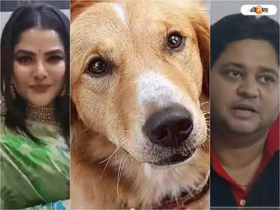 Arpita Mukherjee Dogs: অর্পিতার ফ্ল্যাটে বন্দি কুকুরদের উদ্ধার করুন, ED-কে চিঠি স্বেচ্ছাসেবী সংগঠনের