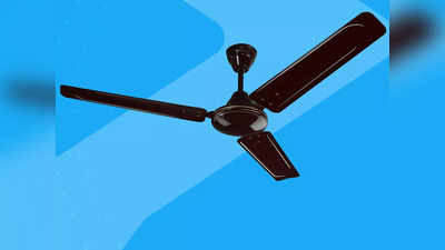 ₹2000 से भी कम कीमत में मिल रहे हैं ये बेस्ट Ceiling Fan, रिमोट कंट्रोल और हाई स्पीड जैसे फीचर्स हैं उपलब्ध