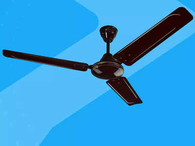 ₹2000 से भी कम कीमत में मिल रहे हैं ये बेस्ट Ceiling Fan, रिमोट कंट्रोल और हाई स्पीड जैसे फीचर्स हैं उपलब्ध