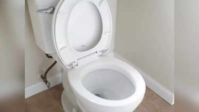 टॉयलेट शीट पर मौजूद 99.99% तक बैक्टीरिया को मार सकते हैं ये Toilet Cleaner, देखें ये ऑप्शन
