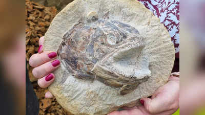 Fish Fossil: ब्रिटेन के खेतों में दबा था 18 करोड़ साल पुराना जुरासिक काल का खजाना, 3D मछली के साथ मिले 100 से ज्यादा जीवाश्म