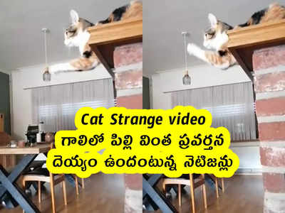 Cat Strange video : గాలిలో పిల్లి వింత ప్రవర్తన .. దెయ్యం ఉందంటున్న నెటిజన్లు