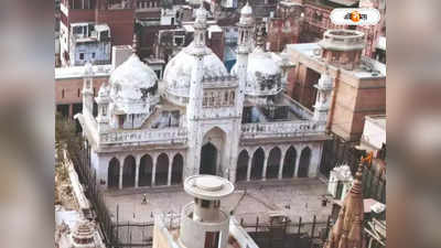 Gyanvapi Masjid News Today: জ্ঞানবাপী মামলায় বড় ধাক্কা! হৃদরোগে আক্রান্ত হয়ে মৃত্যু মসজিদ কমিটির আইনজীবীর