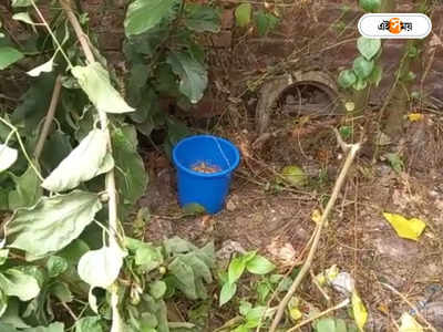 North 24 Parganas: ফের বোমা বিস্ফোরণ ভাটপাড়ায়, উদ্ধার ১৫ টি তাজা বোমা