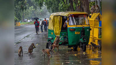 Delhi Weather: अगस्त के पहले 10 दिनों में तेज बारिश की संभावना कम, 3 से 5 अगस्त तक हल्की बारिश