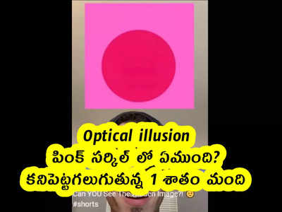 Optical illusion : పింక్ సర్కిల్ లో ఏముంది? కనిపెట్టగలుగుతున్న 1 శాతం మంది