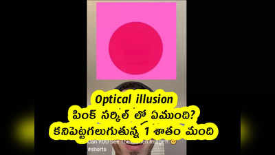 Optical illusion : పింక్ సర్కిల్ లో ఏముంది? కనిపెట్టగలుగుతున్న 1 శాతం మంది