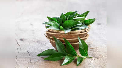 Curry Leaves: ഭക്ഷണം ആരോഗ്യകരമാക്കാം, കറിവേപ്പില ഈ ഭക്ഷണങ്ങളില്‍ ഇങ്ങനെ ചേര്‍ക്കൂ